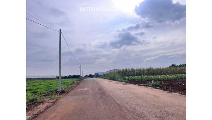 Cần Bán Đất Đông Thanh 350m², Mặt Đường Nhựa 8m, View Nam Ban, Đất Bằng Phẳng